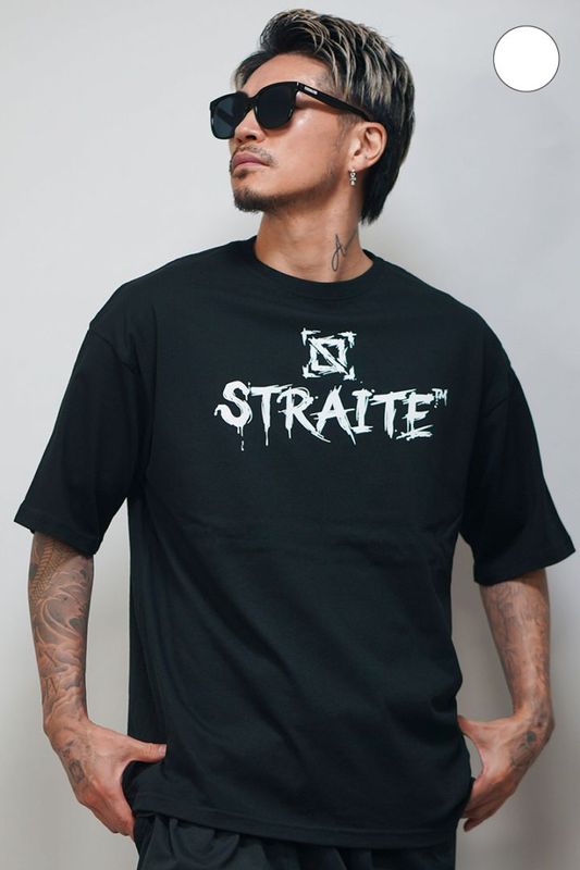 Brush Arts�ӥå�T����ġ�ͽ������[STRAITE]