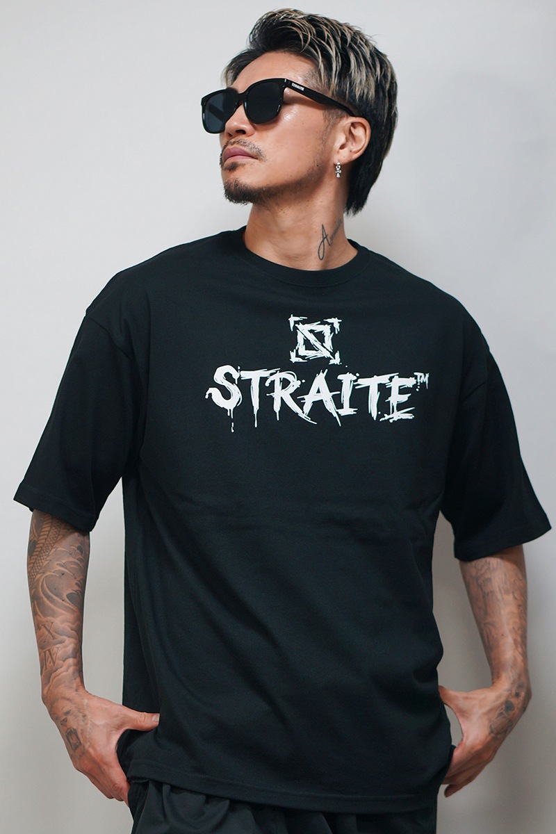 Brush Arts�ӥå�T����ġ�ͽ������[STRAITE]