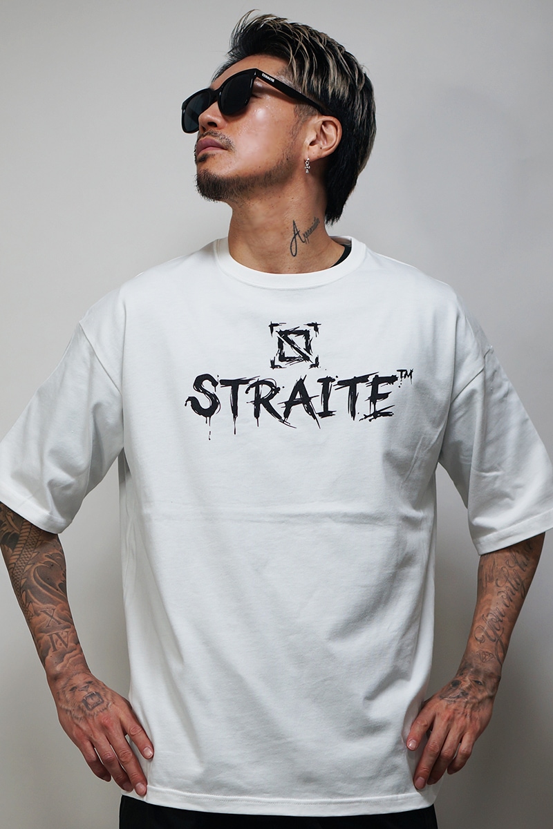 Brush Arts�ӥå�T����ġ�ͽ������[STRAITE]