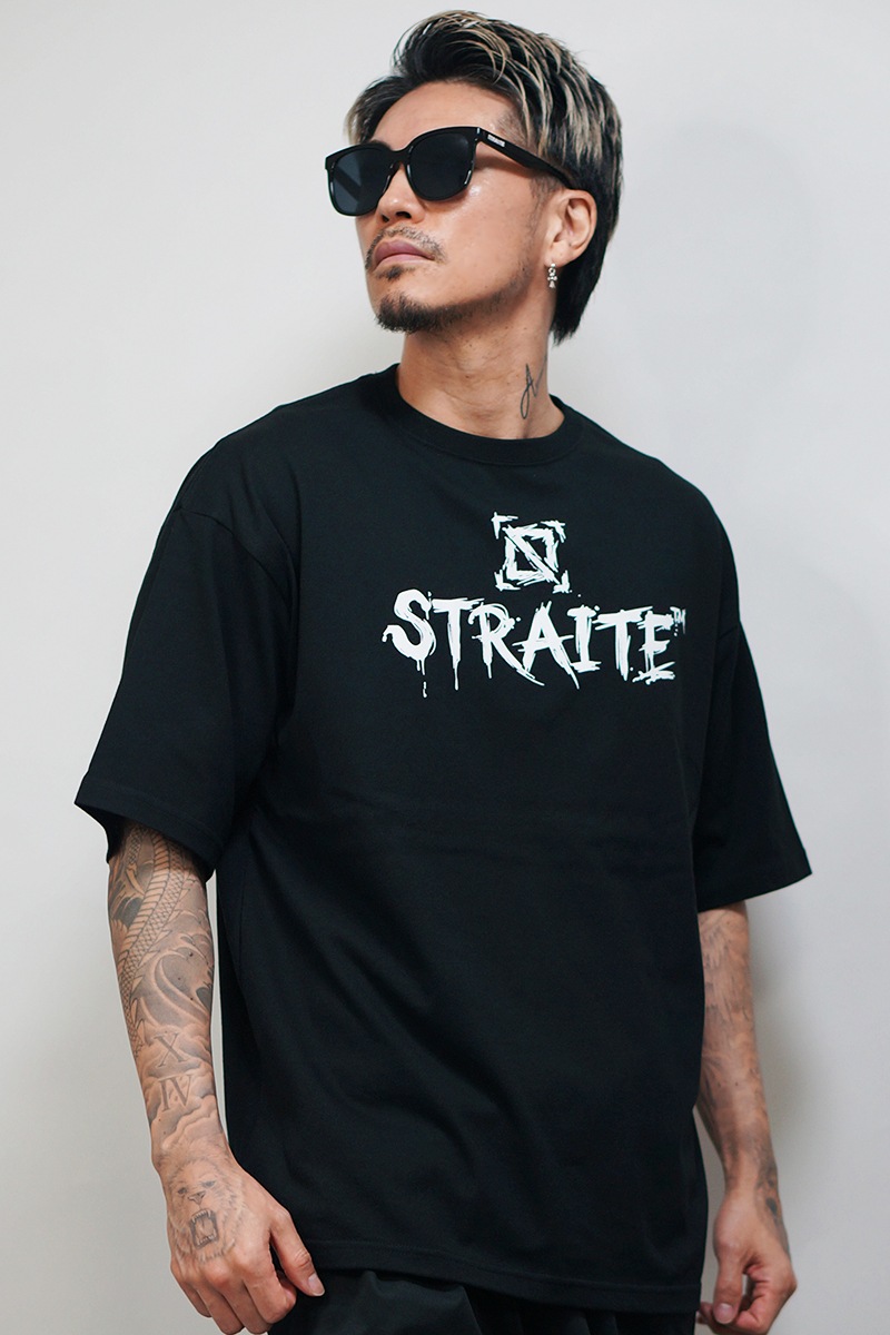 Brush Arts�ӥå�T����ġ�ͽ������[STRAITE]