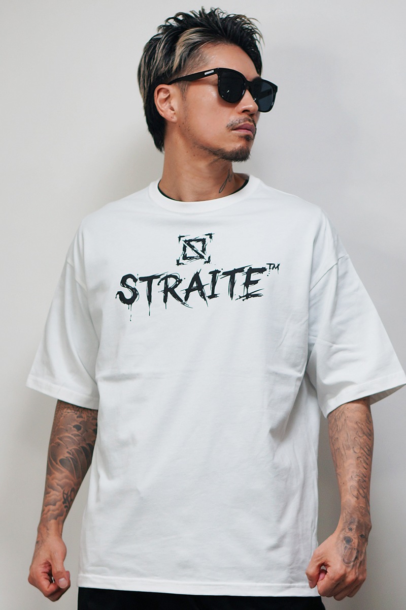 Brush Arts�ӥå�T����ġ�ͽ������[STRAITE]