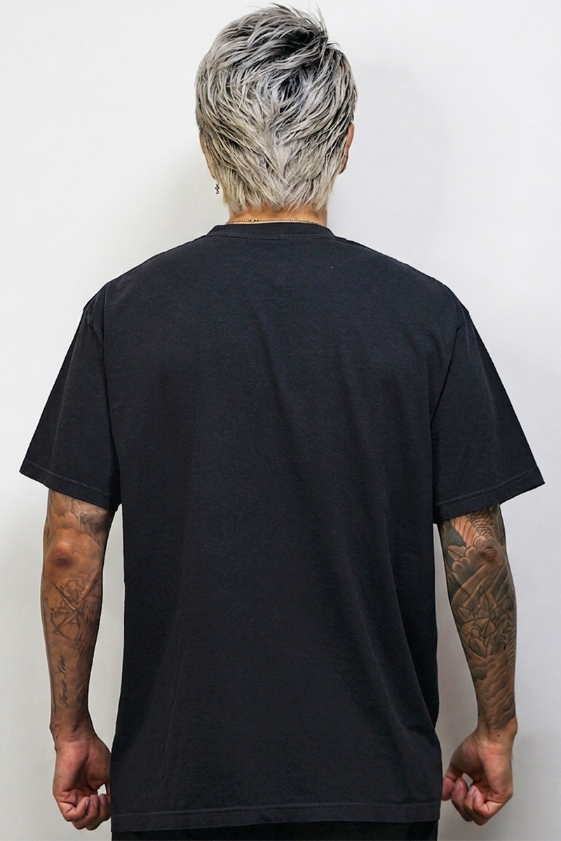 ��ϵWOLF FANG T����ġ�ͽ������[STRAITE]