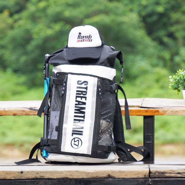 Roadster D2 (�����ɥ�����D2)