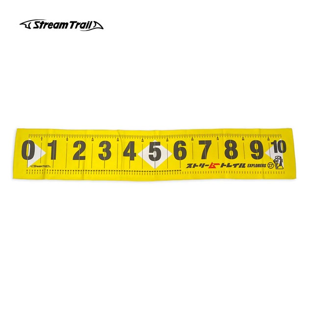 ���ȥ꡼�ࡼ �᥸�㡼�ɥ饤������