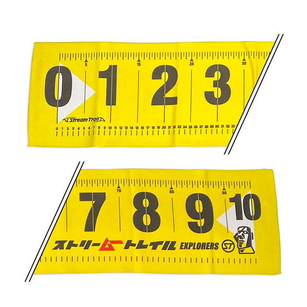 ���ȥ꡼�ࡼ �᥸�㡼�ɥ饤������