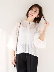 �ɥӡ��ɥåȥ������֥饦���þ���������Ʃ�����֥饦��