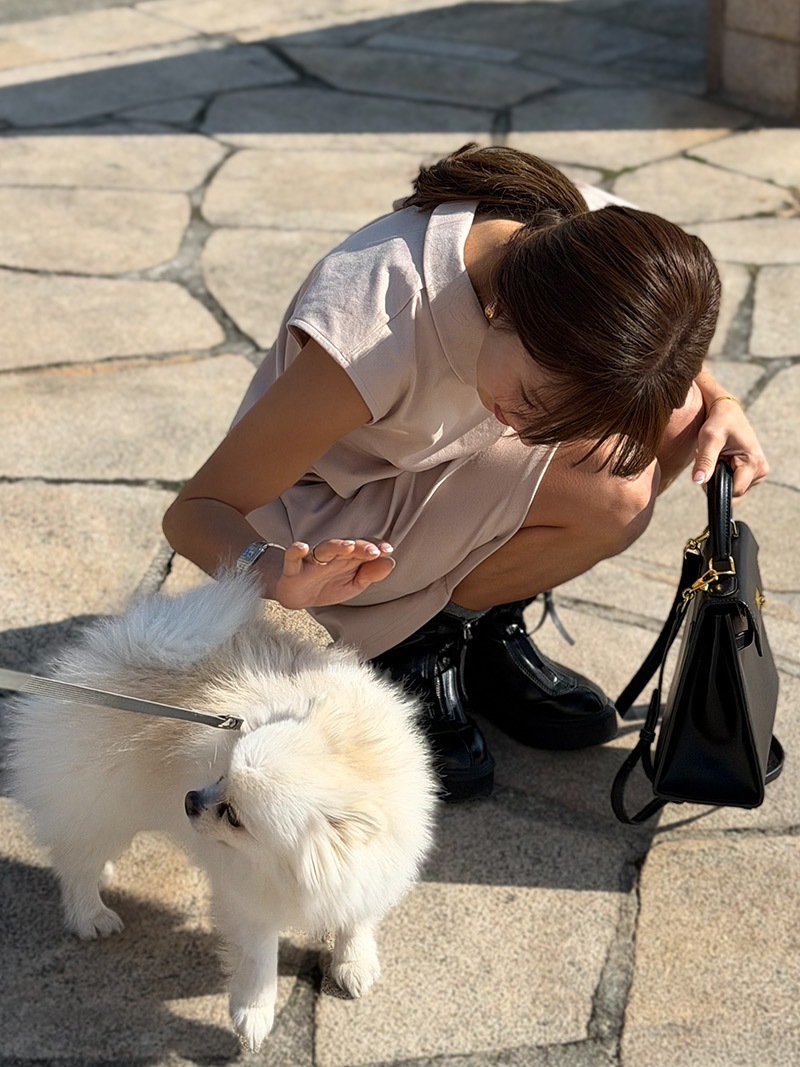 [New]������åץХå����ԡ�����2�Ĥ����Ǿ����θ��������������Ѥ���