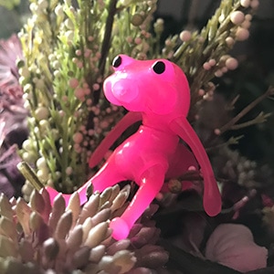 限定フォーチュンワンダフレンド マーロ ウララ / FWF Marlo Urara