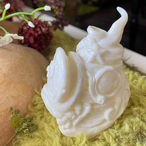 ­�Ĥ������ĥ��γ��βȡ�̵�̿��С�������/ White shell house for Legged snail