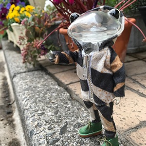 限定ワンダフレンド ピグマリオン ハリ