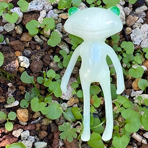 限定フォーチュンワンダフレンド ミード フー / FWF Mead Huu