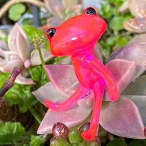 ����ե������������ե��� �ԥ��� ���� / FWF Pian Olu