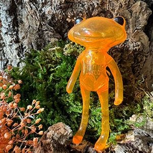 ����ե������������ե��� ����� ������ / FWF Orange Soda