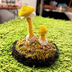 �褷��������� ���ޥ��ƥ󥰥����Υ��֥���