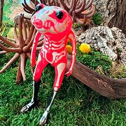 足つきカタツムリ・おたまじゃくし人 / Legged snails and Tadpole person