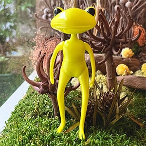 ��������ե��� �ߥ꡼ �������֥꡼ / WF Mellie Webley