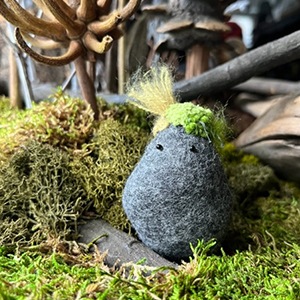 Monika ViktoriaPebbletsץå B