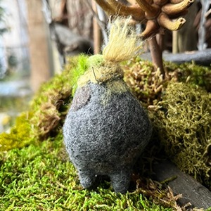 Monika ViktoriaPebbletsץå B