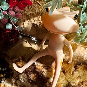 ��������ե��� �֥ꥹ �ݡ��� / WF Bliss Polar