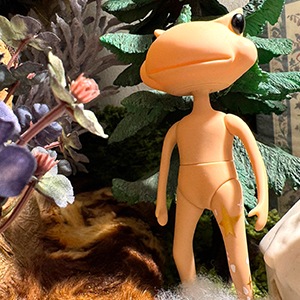 ��������ե��� �֥ꥹ �ݡ��� / WF Bliss Polar