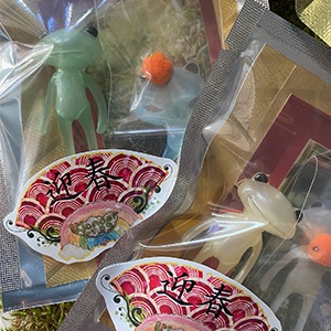 ����ե������������ե��� ������ ������ / FWF Kiono Sasara