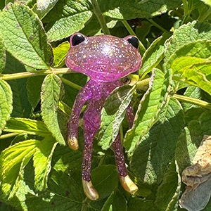 ����ե������������ե��� �ѥ�ץ�� ����å��� / FWF Pulpump Glitter