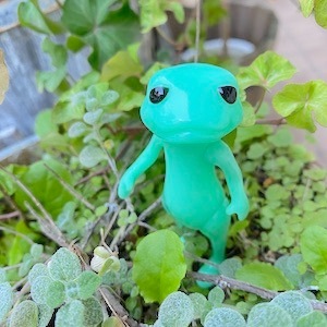 Υե쥹ȥեɡ֥åۡ˥ / NF Bloch Arnim