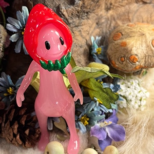 Υե쥹ȥե ͤΥեå / NF Fresa