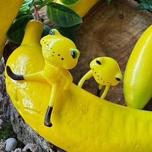 ����ե������������ե��� ���ꥹ �ϥåԡ� / FWF Chris Happy