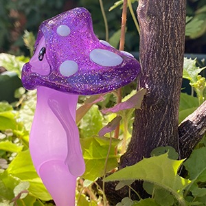 Υե쥹ȥե Υ ƥƥ  / NF Teten Cumu