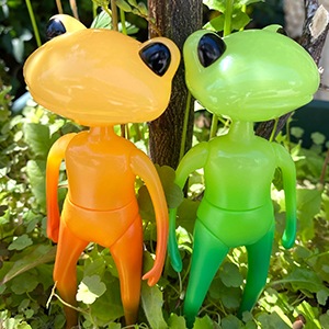 ե ˡ  / WF Lenny Casey