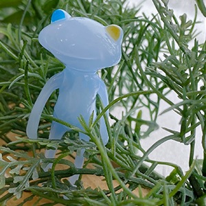 ����ե������������ե��� �ߥ�� �ߥ饤 / FWF Miral Mirai