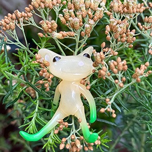 ����ե������������ե��� ���꡼�� �˥ե��� / FWF Olita Nipher