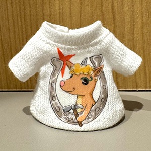 �����ޥå�T����ġʥΥ�����ե��쥹�ȥե����ѡ�