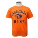 �Υ������ϸ��饤�� �ɥ饤T�����