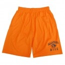 �Υ������ϸ��饤�� �ɥ饤�ϡ��եѥ��