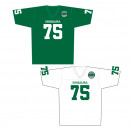 �Ǳ�������إե����ƥ��󥰥��󥸥˥����� ��ץꥫ��˥ե�����