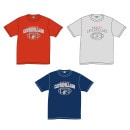 ÅÅÄÌ¥¥ã¥¿¥Ô¥é¡¼¥º ¥É¥é¥¤T¥·¥ã¥Ä