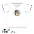 ǭ�������ˤ硩�ɥ饤T�����