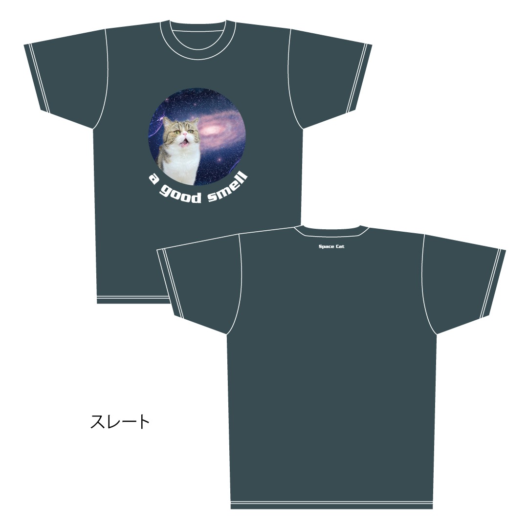 ǭ����������ǭ�֥�T�����