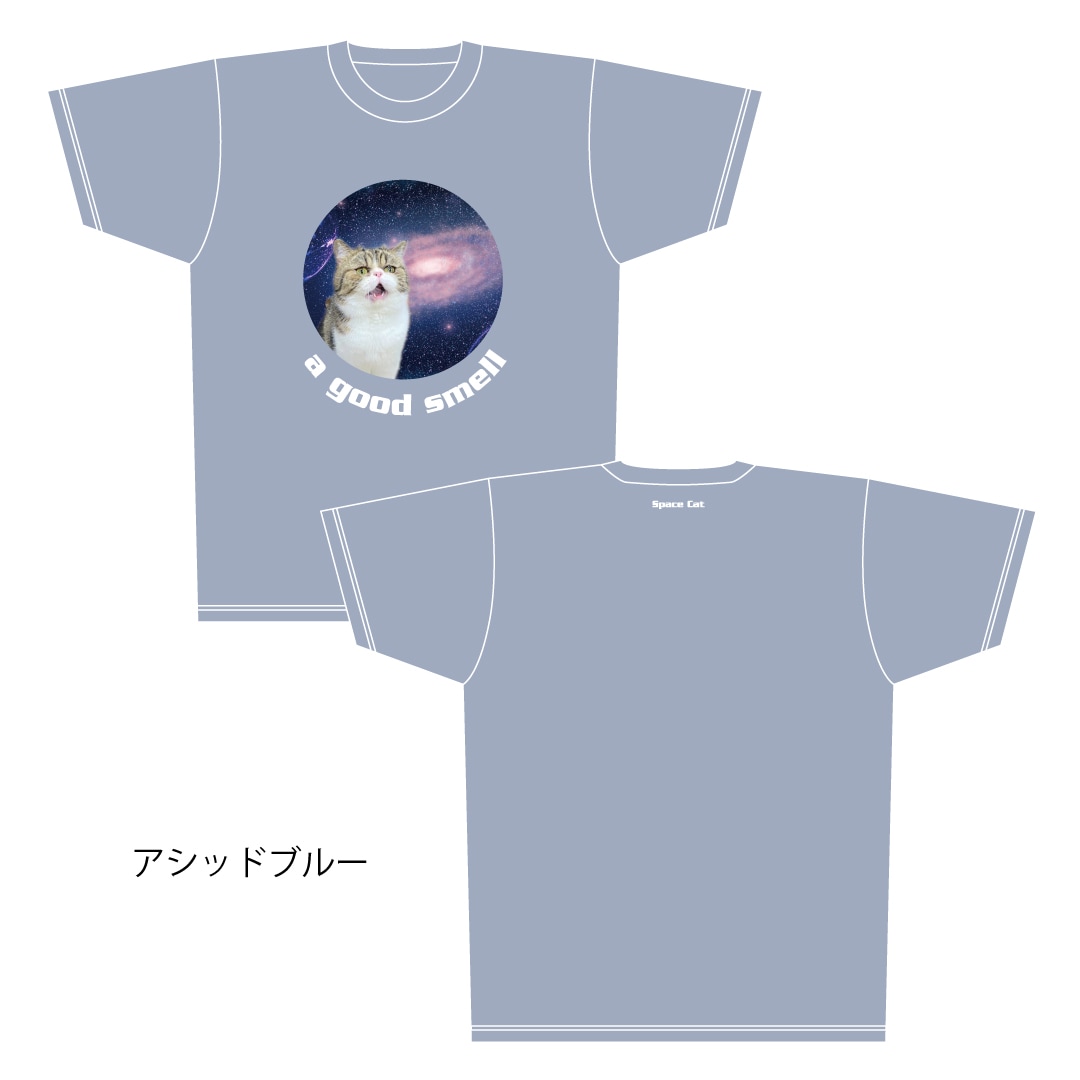 ǭ����������ǭ�֥�T�����