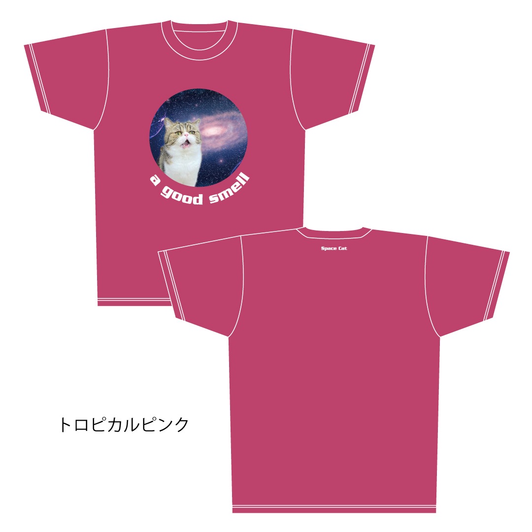 ǭ����������ǭ�֥�T�����