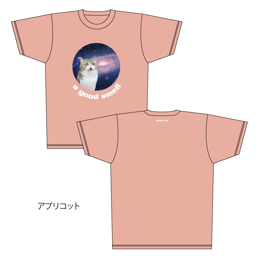 ǭ����������ǭ�֥�T�����