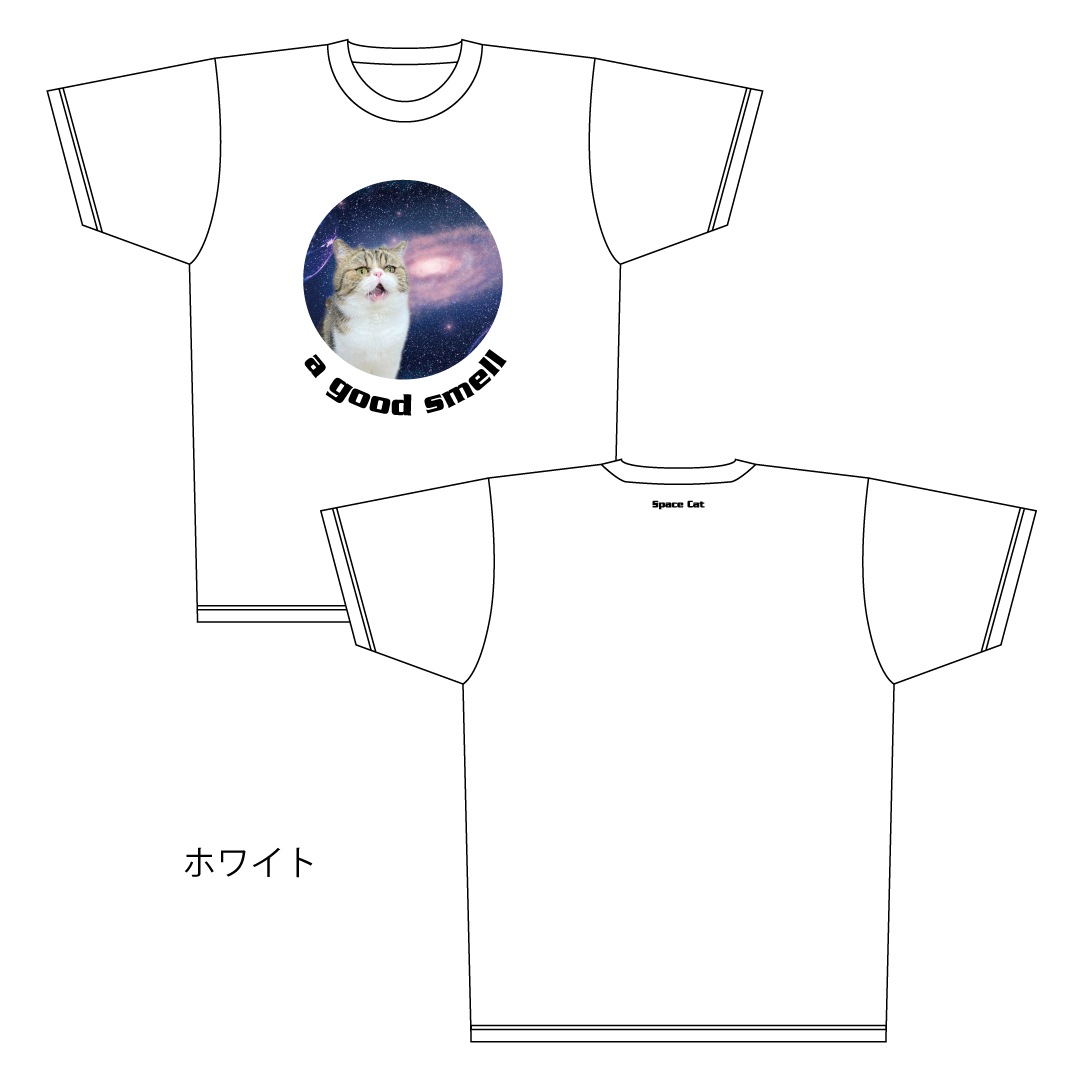 ǭ����������ǭ�֥�T�����