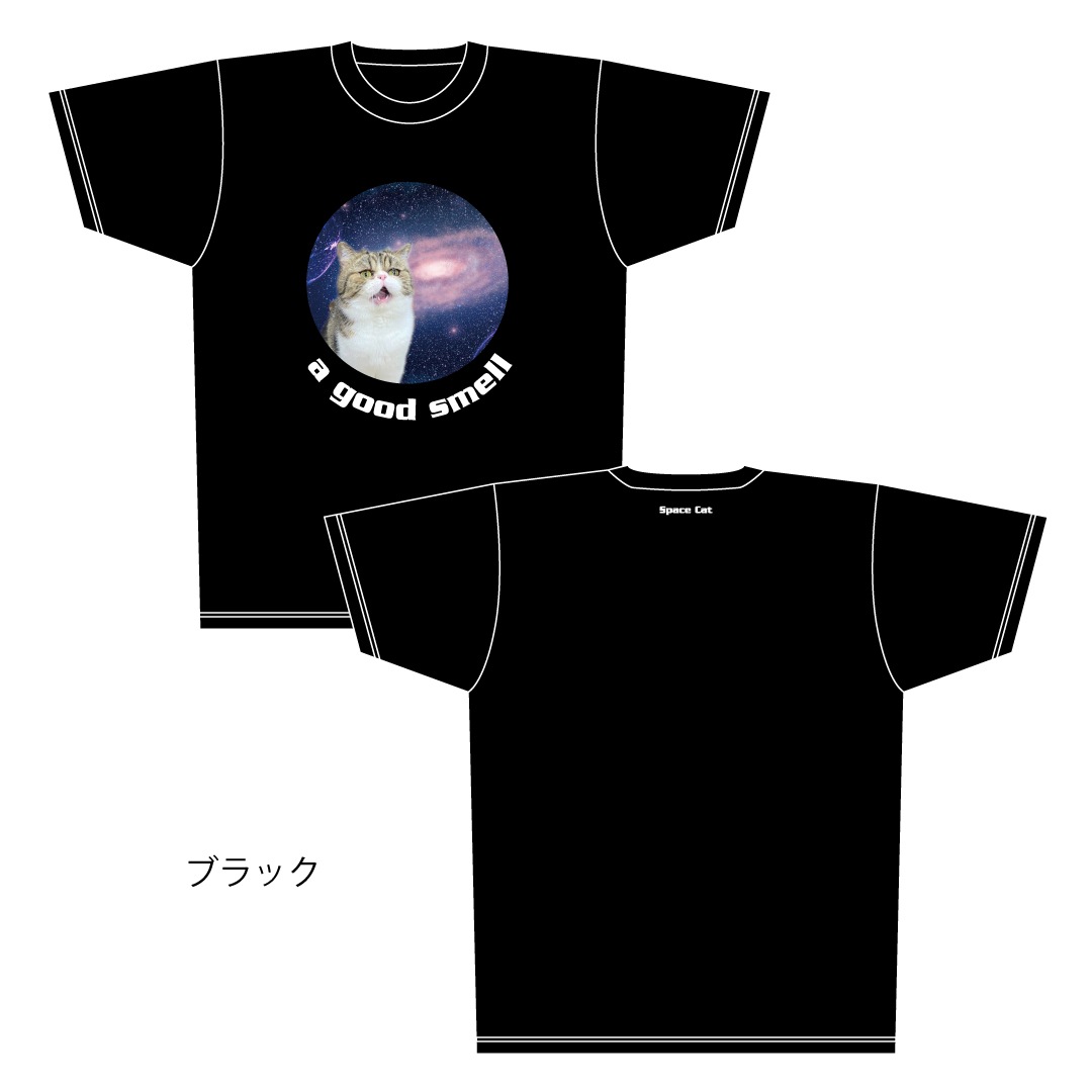 ǭ����������ǭ�֥�T�����