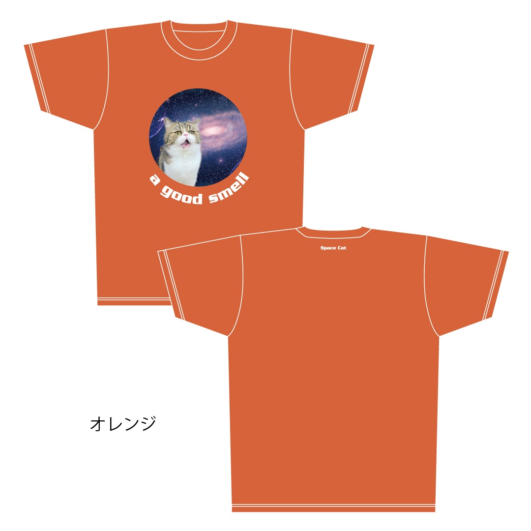 ǭ����������ǭ�֥�T�����