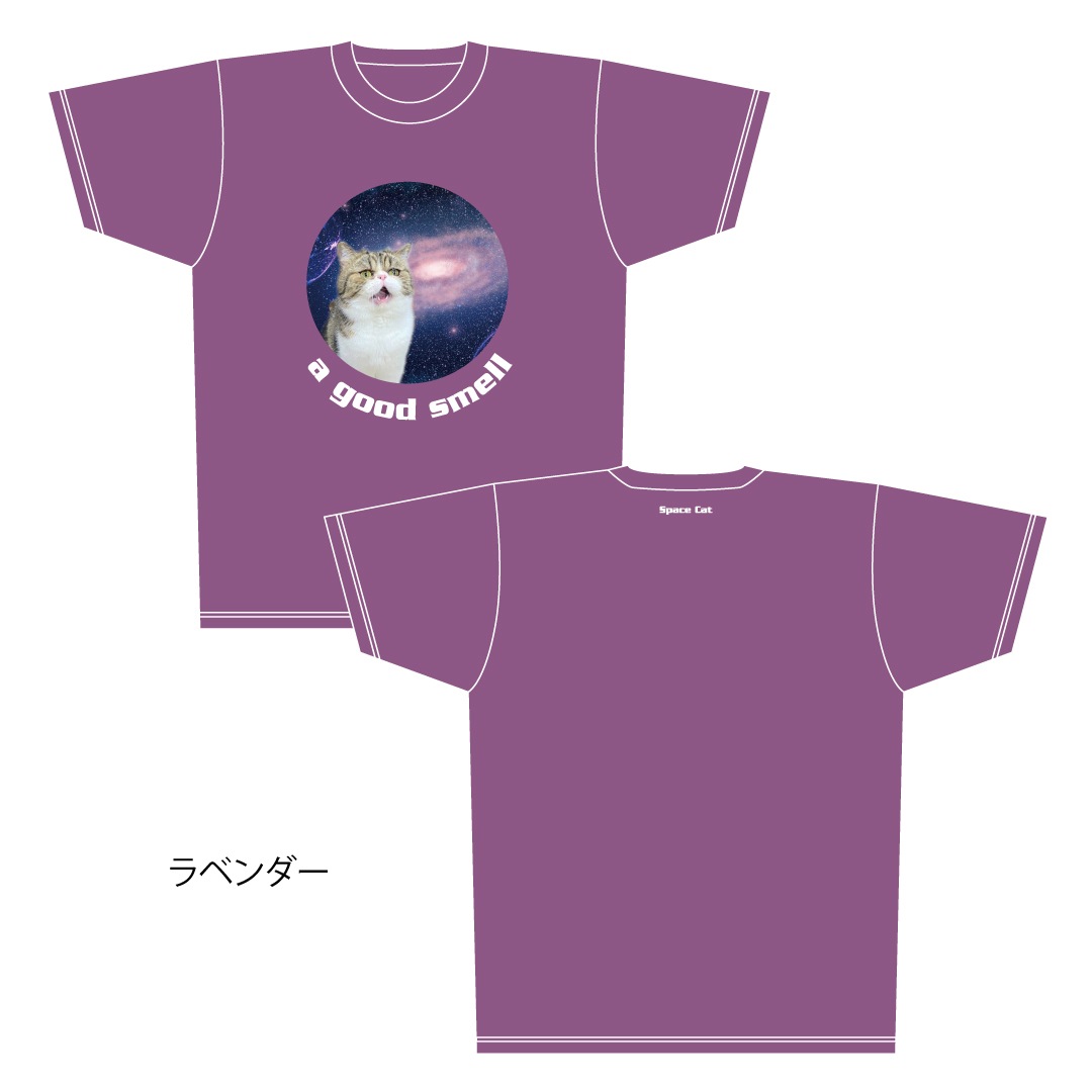 ǭ����������ǭ�֥�T�����