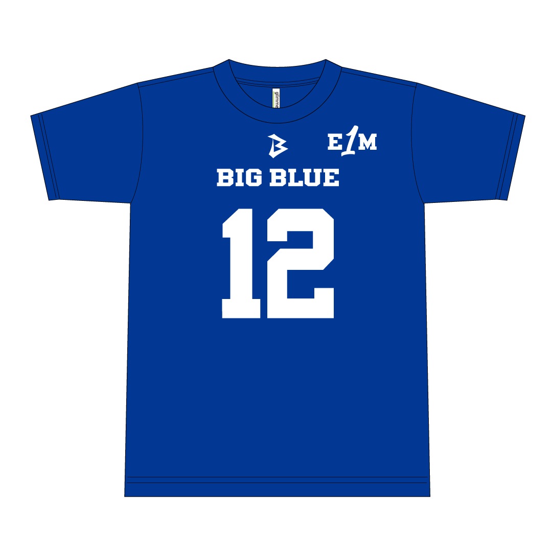 �ڥʥ�Х�󥰡�IBM BIG BLUE ��˥ե�����T����� 