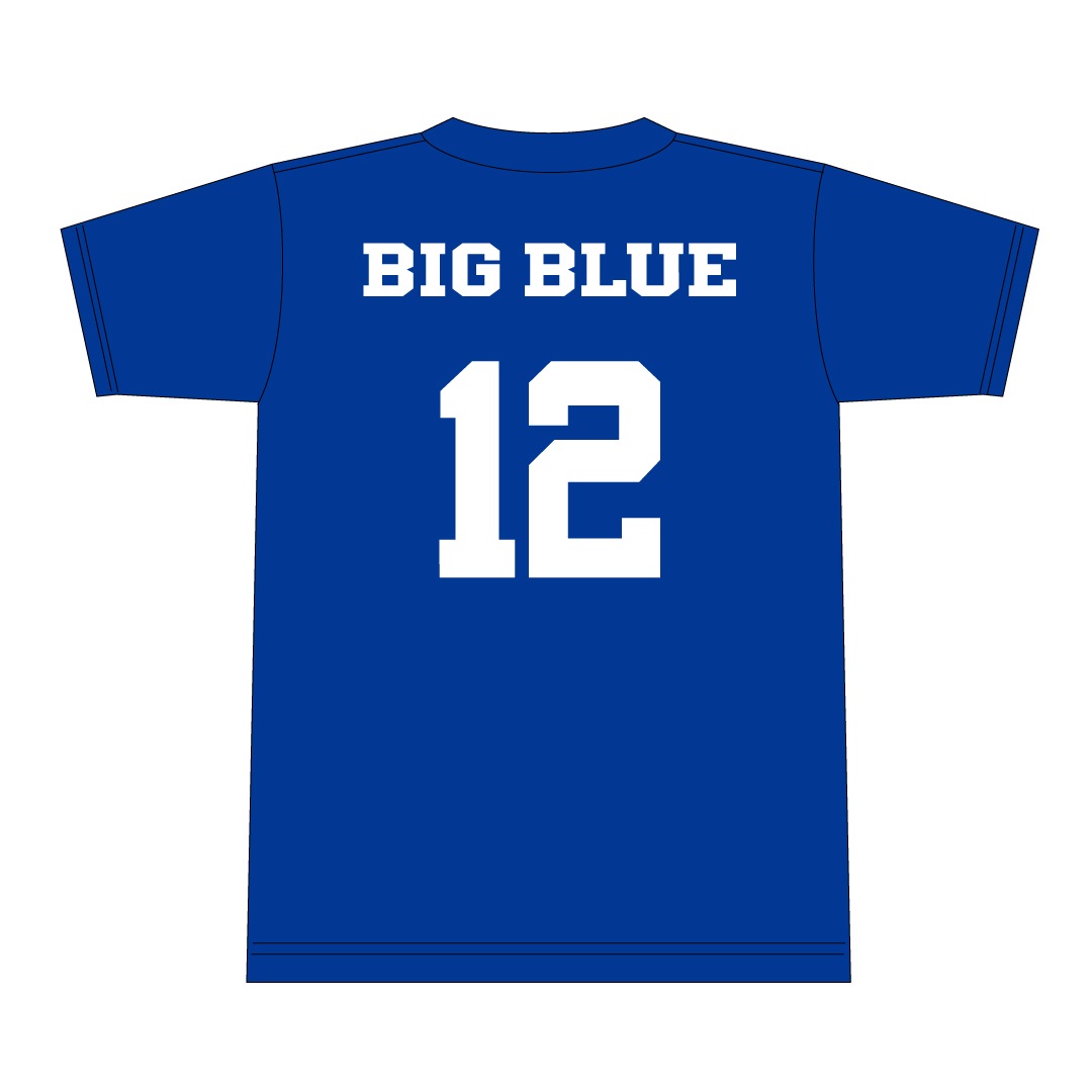 �ڥʥ�Х�󥰡�IBM BIG BLUE ��˥ե�����T����� 