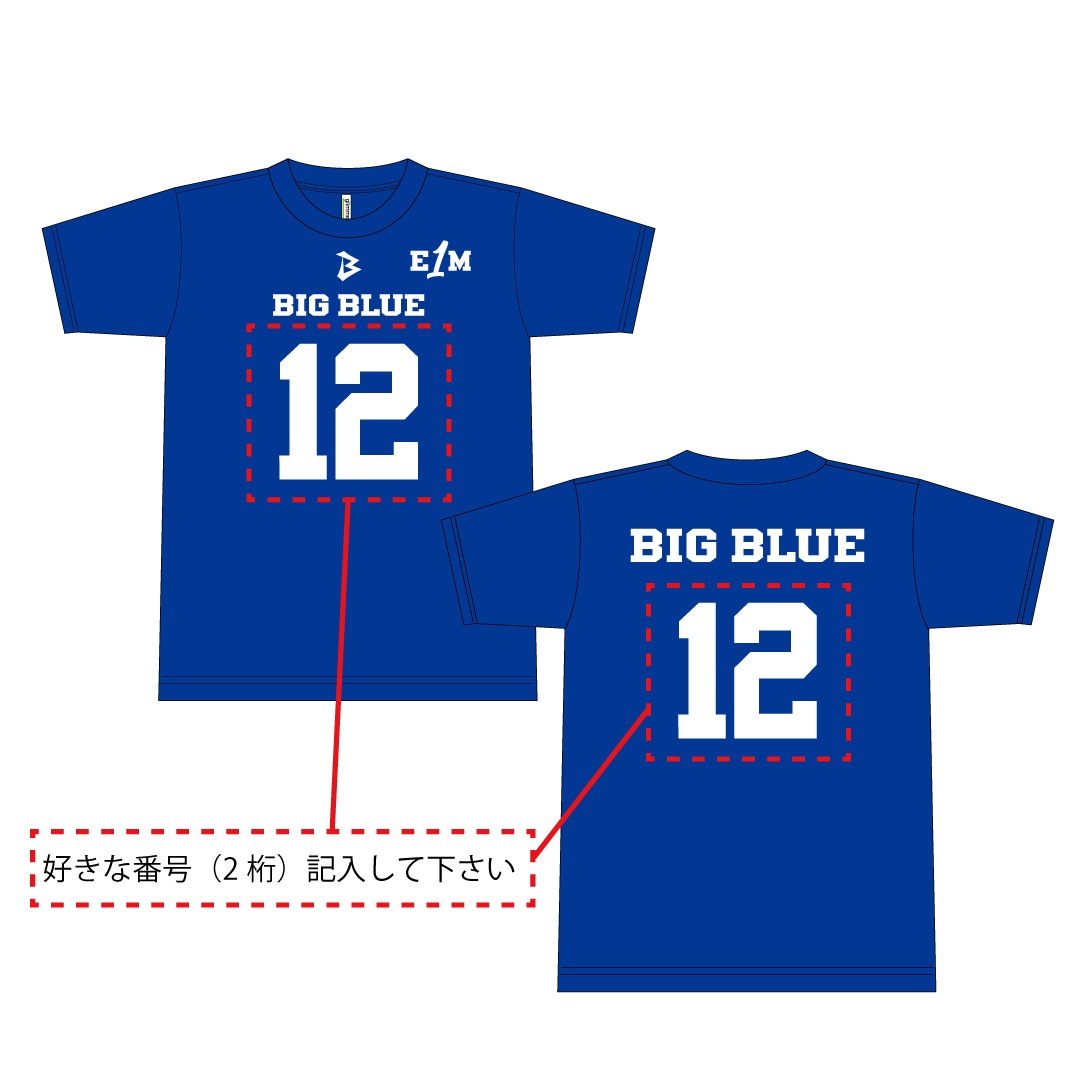 �ڥʥ�Х�󥰡�IBM BIG BLUE ��˥ե�����T����� 